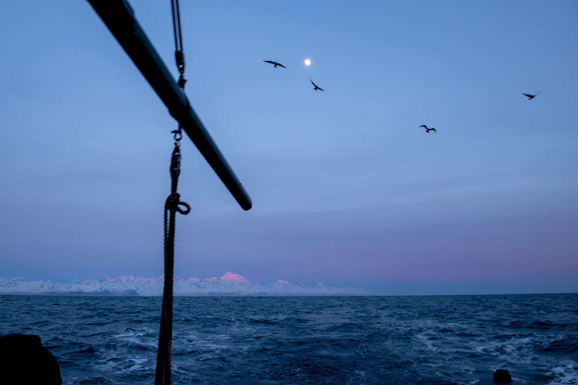 Letters from the Sea